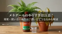 メネデールのやりすぎは注意！効果・使い方・毒性は？濃いとどうなるかも解説