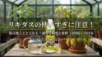 リキダスの使いすぎに注意！毎日使うとどうなる？適切な頻度と希釈（100倍）の目安