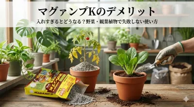 マグァンプKのデメリット｜入れすぎるとどうなる？野菜・観葉植物で失敗しない使い方