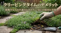 クリーピングタイムのデメリット｜後悔する人の共通点とナメクジ・臭いの原因と対策