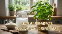 米のとぎ汁肥料の作り方と驚くほど植物が育つ発酵液の秘訣！