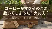 コーヒーかすをそのまま撒いてしまった！大丈夫？土に混ぜる方法と発酵・肥料のコツ