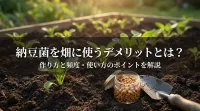 納豆菌を畑に使うデメリットとは？作り方と頻度・使い方のポイントを解説
