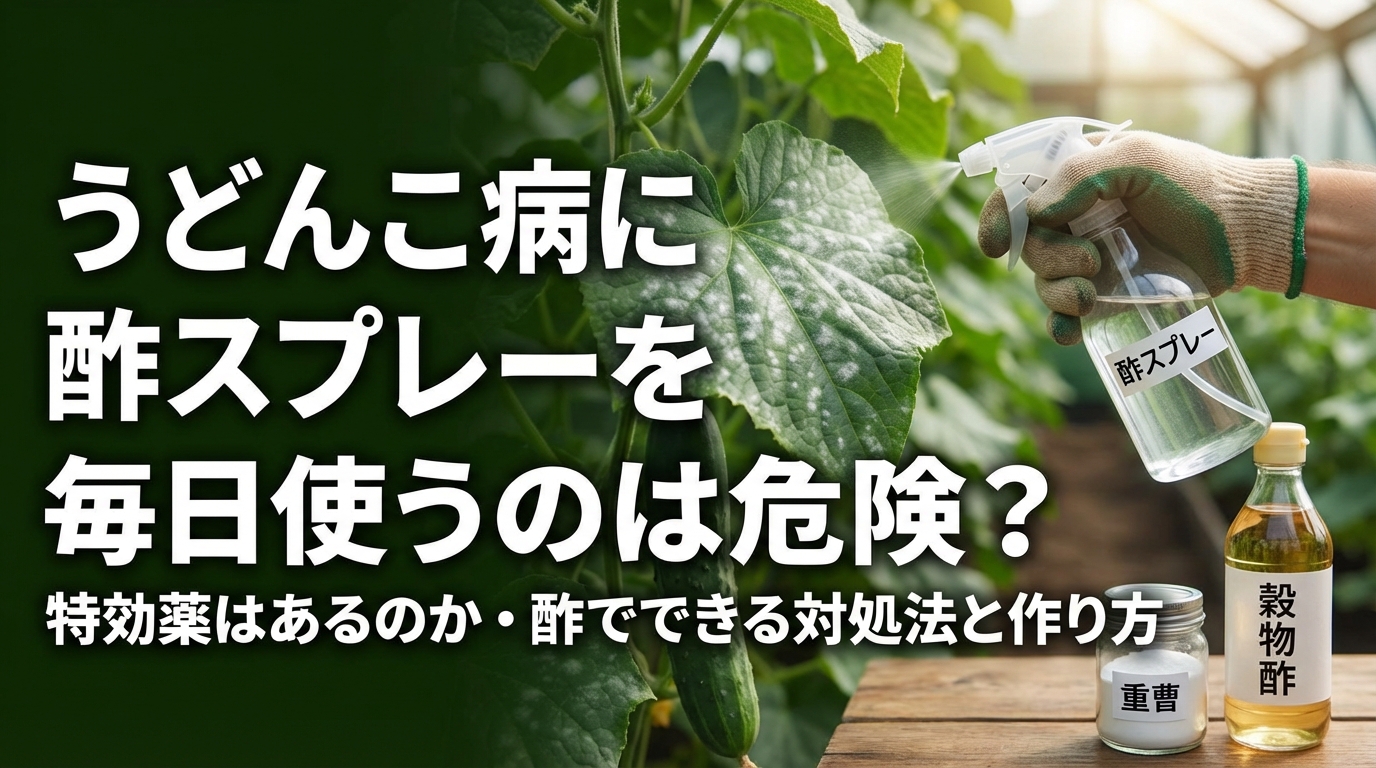 うどんこ病に酢スプレーを毎日使うのは危険？特効薬はあるのか・酢でできる対処法と作り方