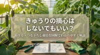 きゅうりは摘心しないでもいい？やり方・つる下ろし栽培を図解でわかりやすく解説