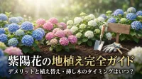 紫陽花の地植えはデメリットばかり？植え替え・挿し木の最適な時期を解説