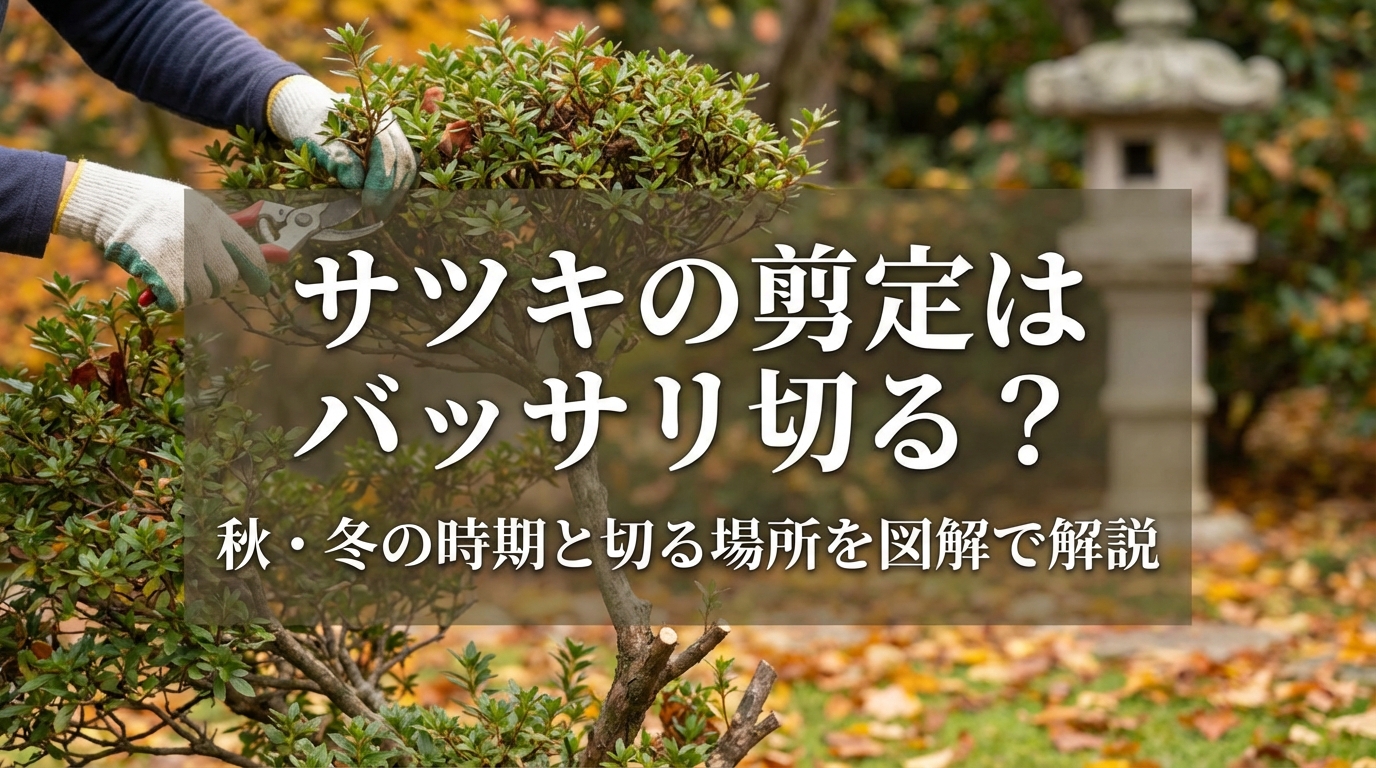 サツキの剪定はバッサリ切る？秋・冬の時期と切る場所を図解で解説