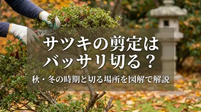 サツキの剪定はバッサリ切る？秋・冬の時期と切る場所を図解で解説