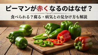 ピーマンが赤くなるのはなぜ？食べられる？腐る・病気との見分け方も解説