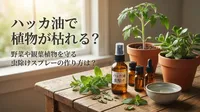 ハッカ油で植物が枯れる？野菜や観葉植物を守る虫除けスプレーの作り方は？