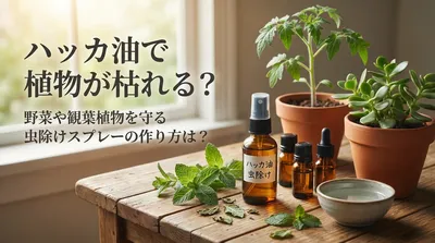 ハッカ油で植物が枯れる？野菜や観葉植物を守る虫除けスプレーの作り方は？