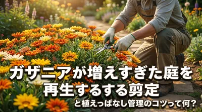 ガザニアが増えすぎた庭を再生する剪定と植えっぱなし管理のコツ