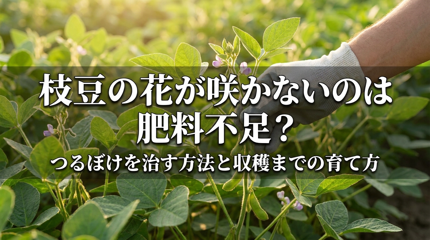 枝豆の花が咲かないのは肥料不足？つるぼけを治す方法と収穫までの育て方