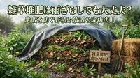 雑草堆肥は雨ざらしでも大丈夫？失敗を防ぐ野積み放置の成功法則