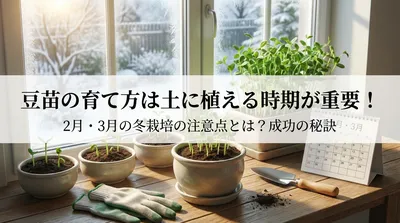 豆苗の育て方は土に植える時期が重要！2月・3月の冬栽培の注意点