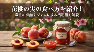 花桃の実の食べ方を紹介！毒性の有無やジャムにする活用術を解説