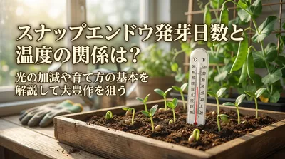 スナップエンドウの発芽日数と温度の関係は？光の加減や育て方の基本を解説