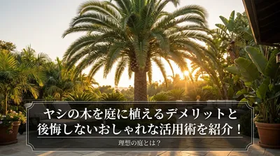 ヤシの木を庭に植えるデメリットと後悔しないおしゃれな活用術を紹介