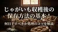 じゃがいも収穫後の保存方法の基本！何日干すべきか処理のコツを解説