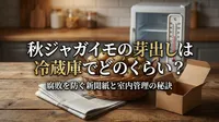 秋ジャガイモの芽出しは冷蔵庫でどのくらい？腐敗を防ぐ新聞紙と室内管理の秘訣