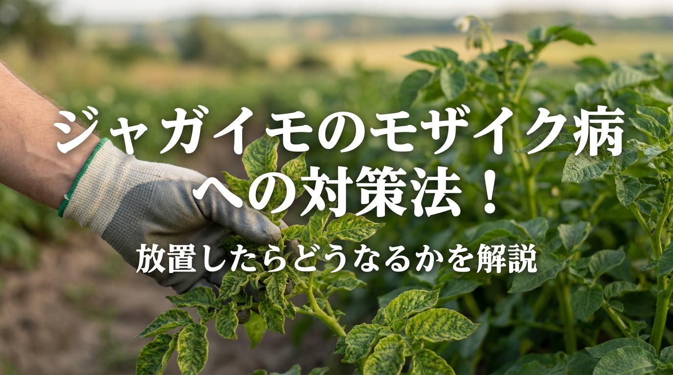 ジャガイモのモザイク病への対策法！放置したらどうなるかを解説