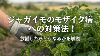 じゃがいものモザイク病への対策法！放置したらどうなるかを解説