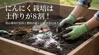 にんにく栽培は土作りが8割！初心者向け石灰と肥料の正しい配合法