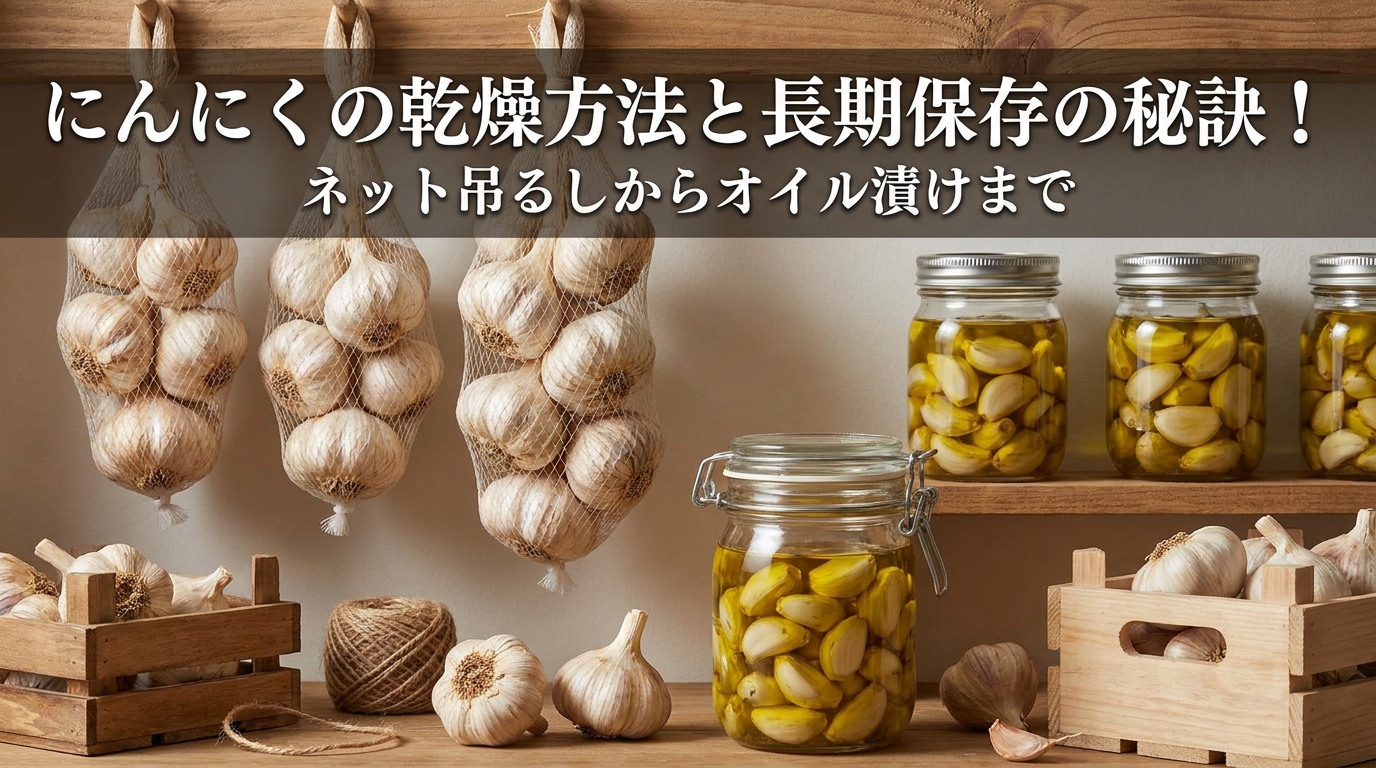 にんにくの乾燥方法と長期保存の秘訣！ネット吊るしからオイル漬けまで