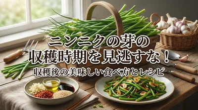 ニンニクの芽の収穫時期を見逃すな！収穫後の美味しい食べ方とレシピ