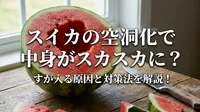 スイカの空洞化で中身がスカスカに？すが入る原因と対策法を解説