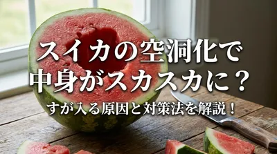 スイカの空洞化で中身がスカスカに？すが入る原因と対策法を解説
