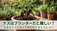 ナスはプランターだと難しい？大きさと土の量で失敗を防ぐ育て方