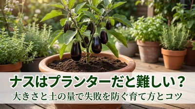 ナスはプランターだと難しい？大きさと土の量で失敗を防ぐ育て方