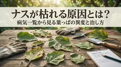 ナスが枯れる原因とは？病気一覧から見る葉っぱの異変と治し方