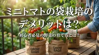 ミニトマトの袋栽培のデメリットは？初心者必見の野菜の育て方