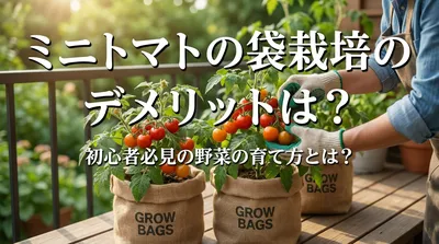 ミニトマトの袋栽培のデメリットは？初心者必見の野菜の育て方