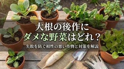 大根の後作に悪い野菜はどれ？失敗を防ぐ相性の悪い作物と対策