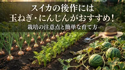 スイカの後作には玉ねぎ・にんじんがおすすめ！栽培の注意点と簡単な育て方