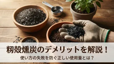 籾殻燻炭のデメリットを解説！使い方の失敗を防ぐ正しい使用量とは？