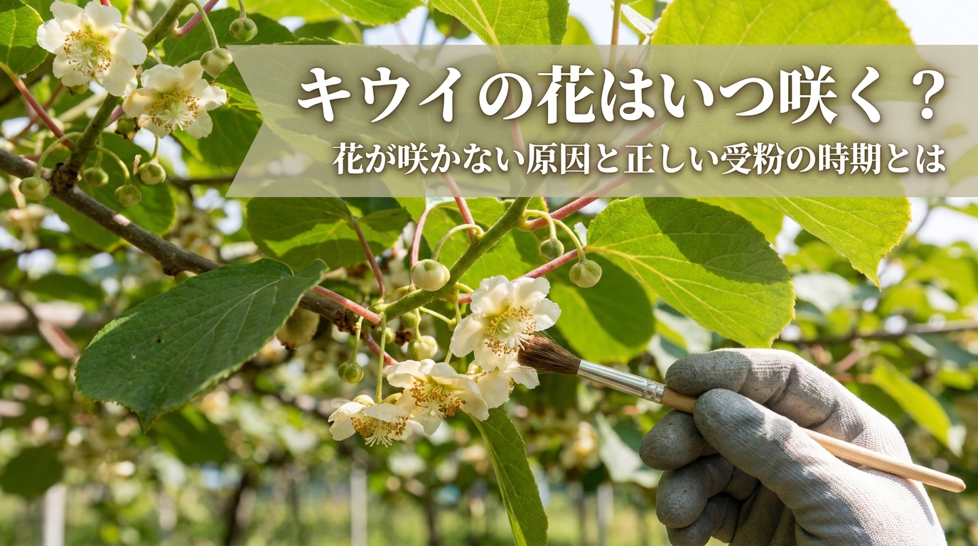 キウイの花はいつ咲く？花が咲かない原因と正しい受粉の時期とは
