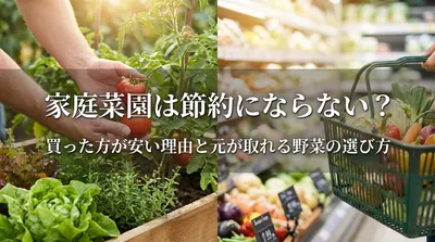 家庭菜園は節約にならない？買った方が安い理由と元が取れる野菜の選び方