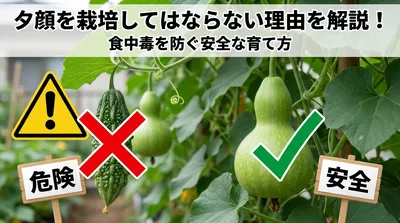 夕顔を栽培してはならない理由を解説！食中毒を防ぐ安全な育て方とは