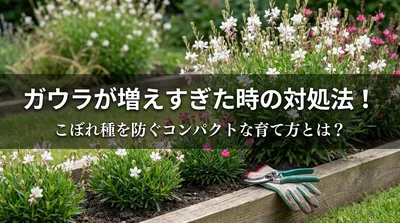 ガウラが増えすぎた時の対処法！こぼれ種を防ぐコンパクトな育て方とは？