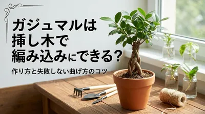 ガジュマルは挿し木で編み込みにできる？作り方と失敗しない曲げ方のコツ