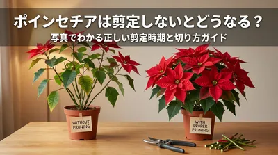 ポインセチアは剪定しないとどうなる？写真でわかる正しい剪定時期と切り方ガイド