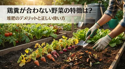 鶏糞が合わない野菜の特徴は？堆肥のデメリットと正しい使い方