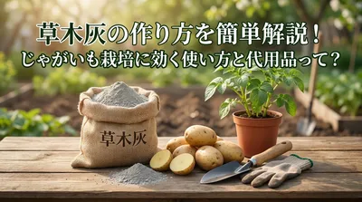草木灰の作り方を簡単解説！じゃがいも栽培に効く使い方と代用品