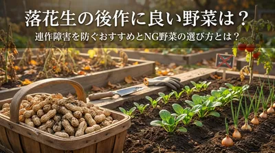 落花生の後作に良い野菜は？連作障害を防ぐおすすめとNG野菜の選び方