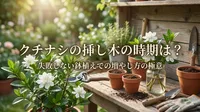 クチナシの挿し木の時期は？失敗しない鉢植えでの増やし方
