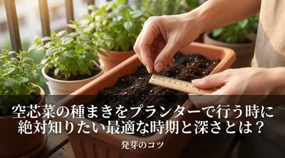 空芯菜の種まきをプランターで行う時に絶対知りたい最適な時期と深さとは？